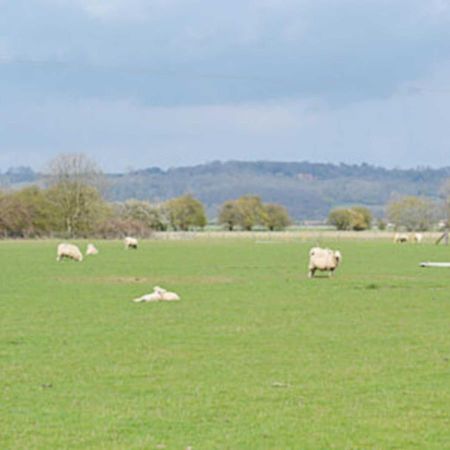 Owl Barn Villa Burmarsh Bagian luar foto